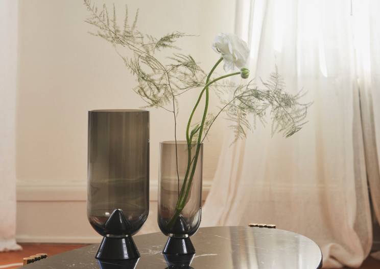 home decoration, plants, flower vase, home decor, interior design